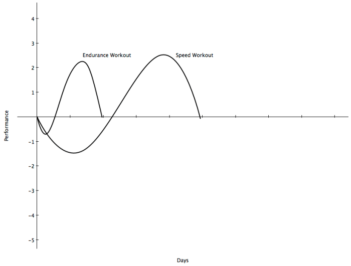 endurance workouts have much shorter supercompensation curves