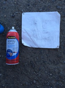 .... then turn it over and spray the back with adhesive