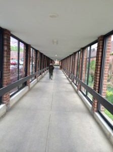 Mom Speeding Off in the Distance